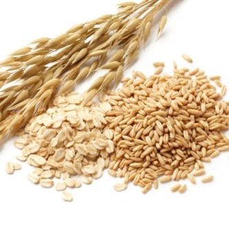 Rolled oats ■ 1000 gr